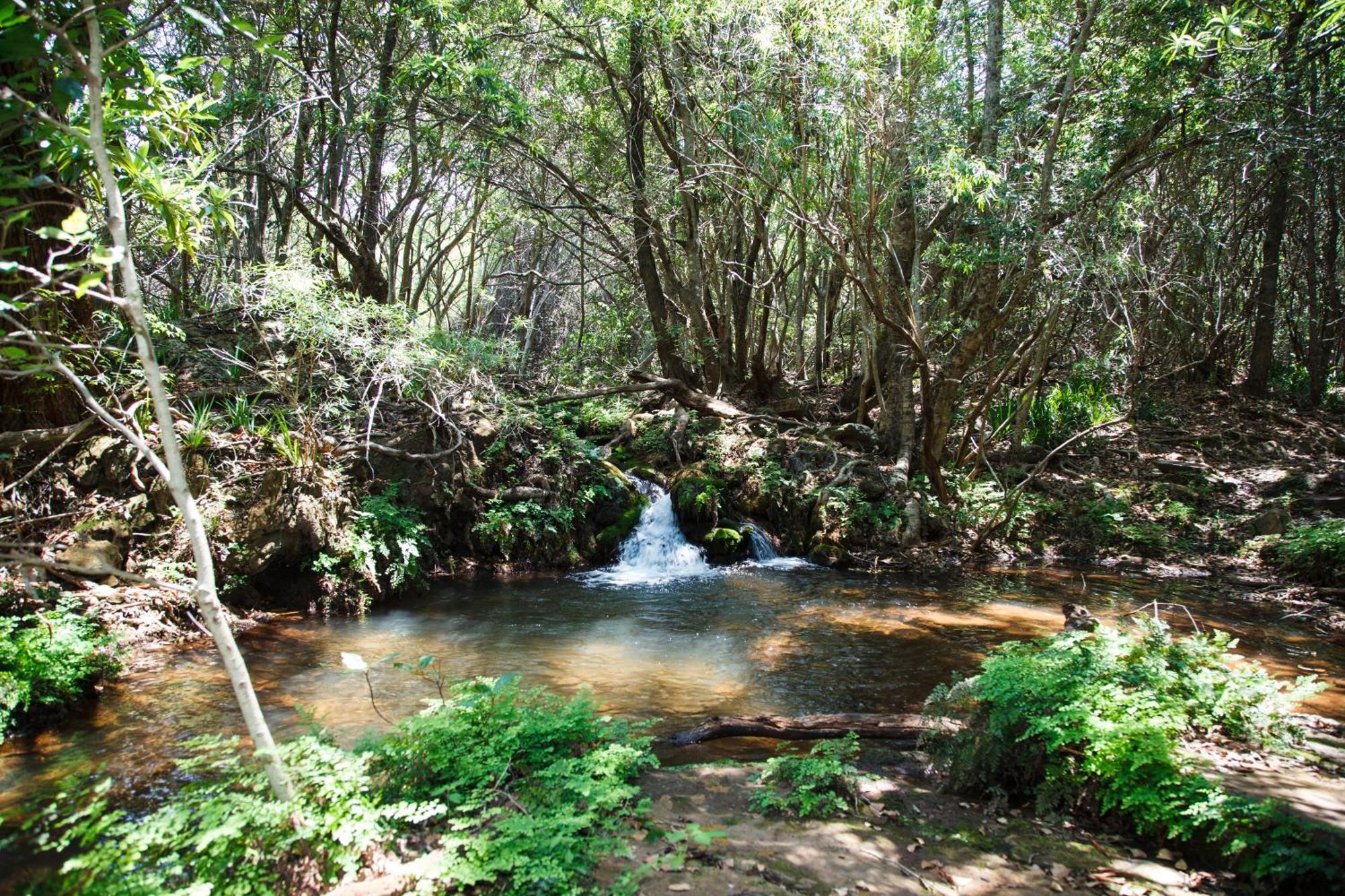Blyde Canyon, A Forever Resort Matibidi Экстерьер фото